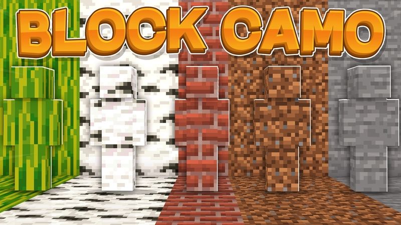 Block Camo on the Minecraft Marketplace by 5 Frame Studios