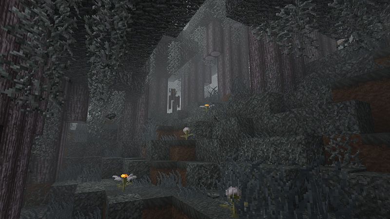 Clarity by Pathway Studios