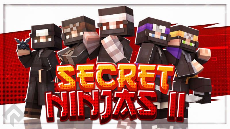 Secret Ninjas II