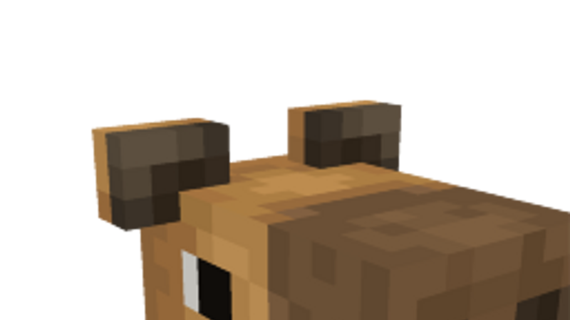 Capybara Head on the Minecraft Marketplace by Lifeboat