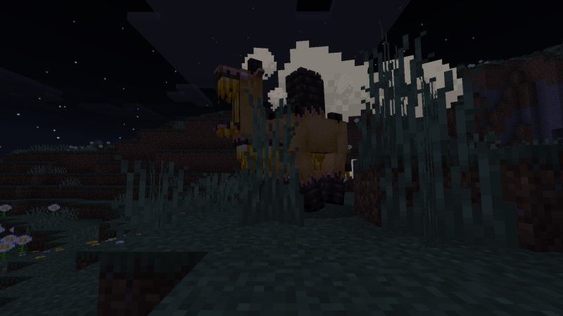Mirror Mobs Add-on by Team Visionary