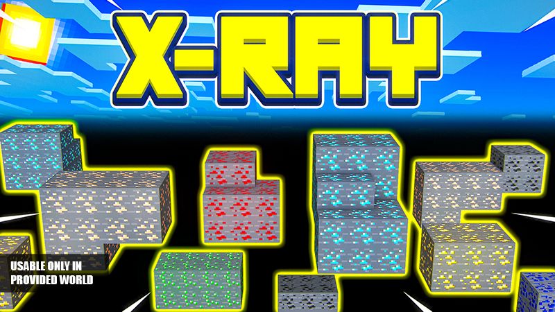 XRAY on the Minecraft Marketplace by Bunny Studios XRAY on the Minecraft Marketplace by Bunny Studios
