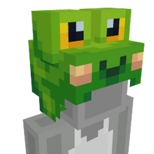 Frog Hat Frog Hat