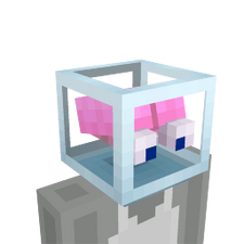 Brain in a Jar Brain in a Jar