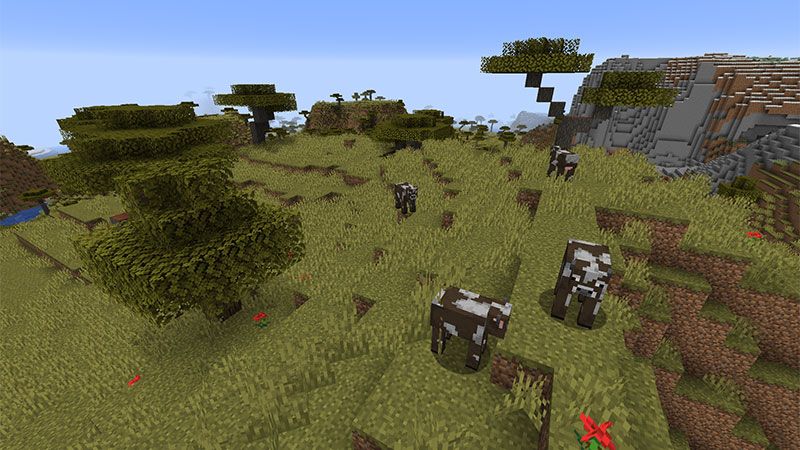 Minecraft Texture Update Beta by Minecraft