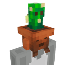 Cactus pot head Cactus pot head