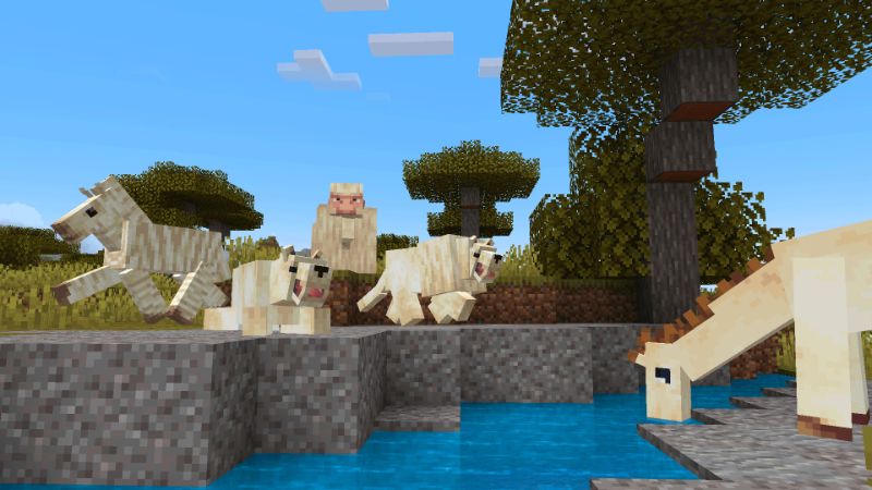 Albino Animals by Hourglass Studios
