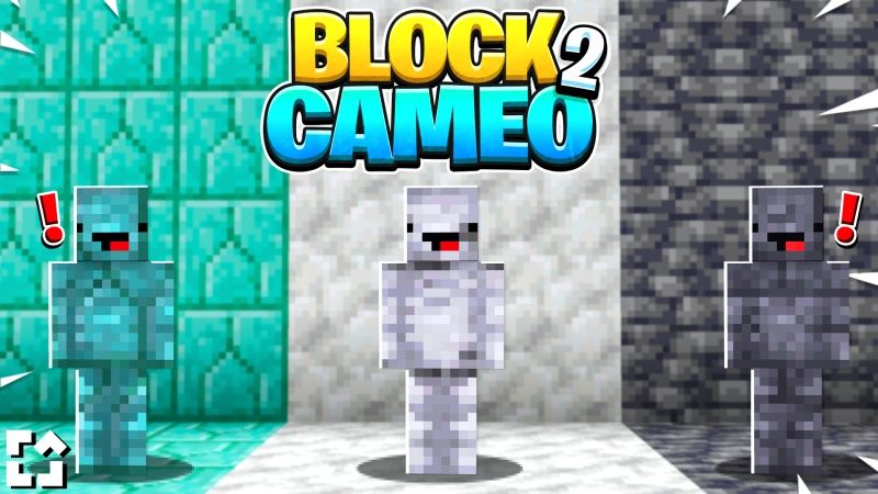 Block Cameo 2