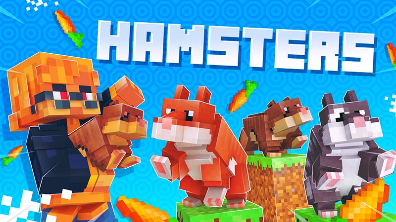 HAMSTERS HAMSTERS