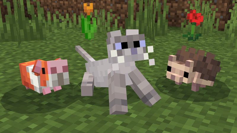 Spark Pets Add-On (Lite) by Spark Universe