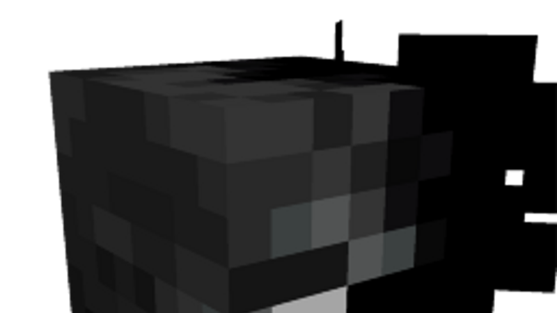 Half Wither Head on the Minecraft Marketplace by Spark Universe