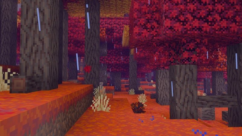 Into The Wild Add-On by Tsunami Studios