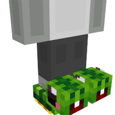Turtle Slippers Turtle Slippers