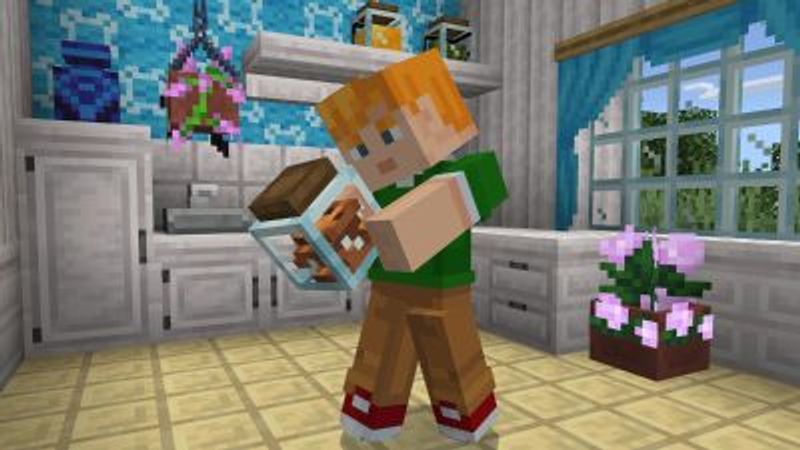 Block Furniture Add-On 1.0 on the Minecraft Marketplace by Solid Blocks