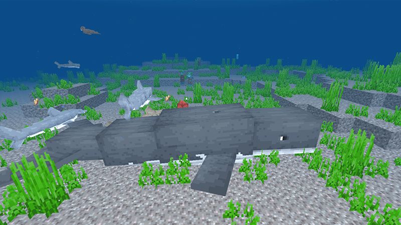 Ocean Expansion Add-On 1.0 by Hourglass Studios