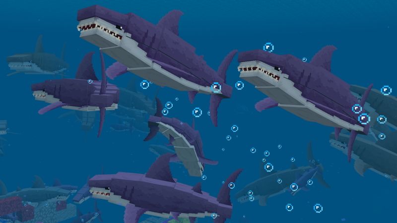 Shark Attack-Extreme Survival by The Craft Stars