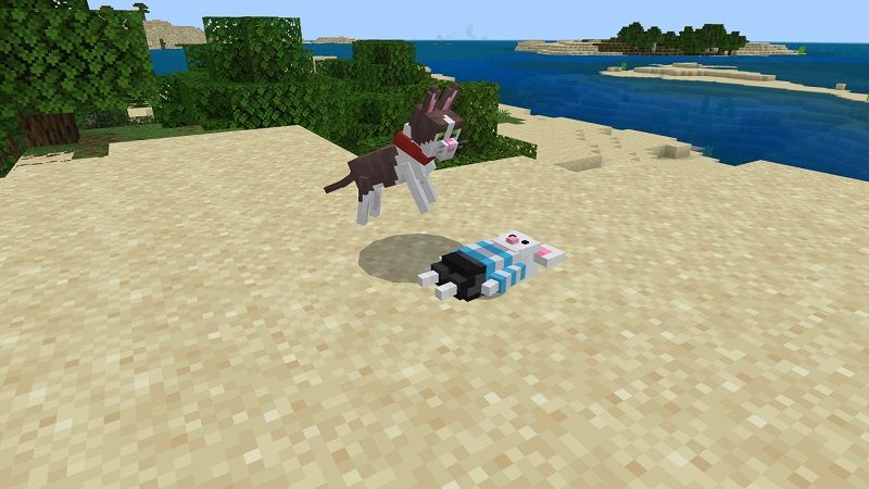 Cats And Dogs Add-On! by Street Studios