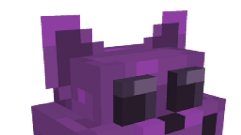 Purple Cat Head on the Minecraft Marketplace by Senior Studios