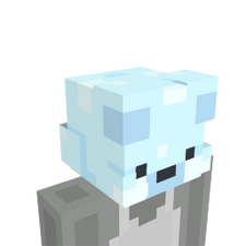 Snow Bear Snow Bear
