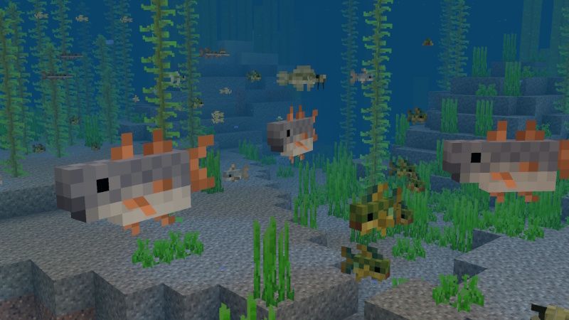 Aquaculture Add-On by Team Metallurgy