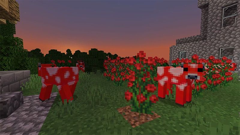 More Mooshrooms by Lifeboat