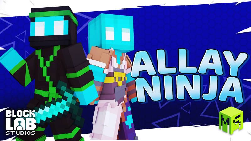 Allay Ninja Allay Ninja