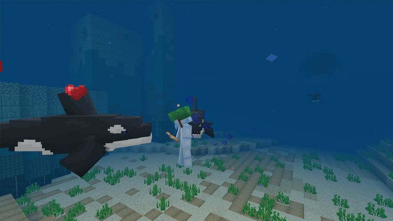 Orca by CubeCraft Games