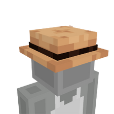 Safari Hat Safari Hat