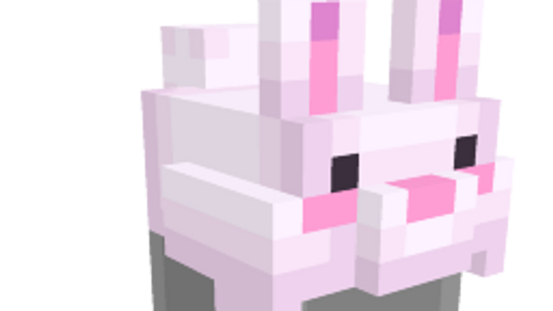 Pink Bunny