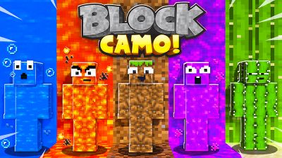 Block Camo on the Minecraft Marketplace by Razzleberries