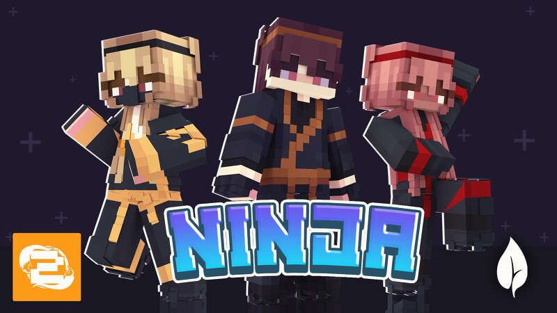 Ninja on the Minecraft Marketplace by 2-Tail Productions