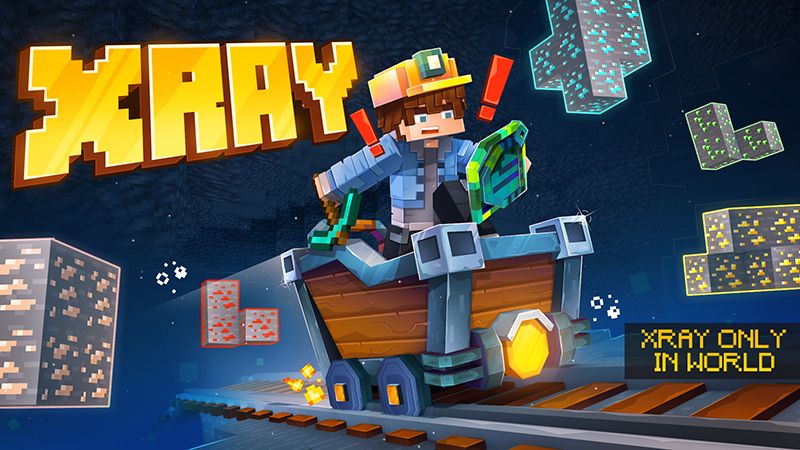 Xray on the Minecraft Marketplace by Honeyfrost
