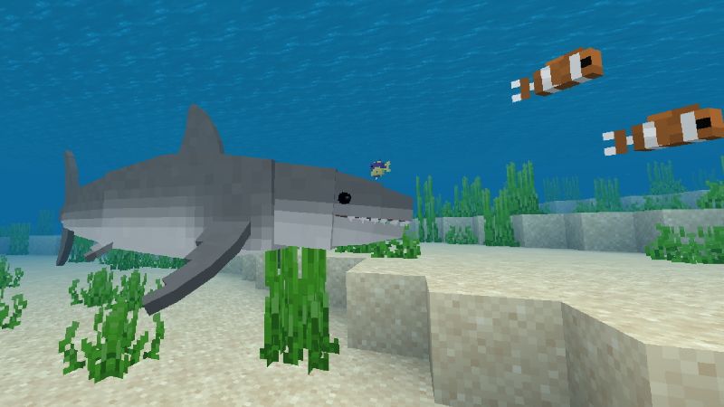 Australian Adventure by Waypoint Studios