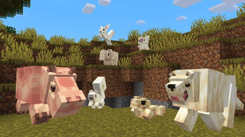Albino Animals by Hourglass Studios