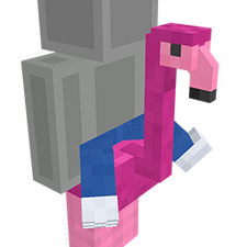 Riding a Flamingo Riding a Flamingo