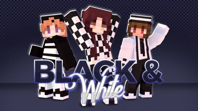 Black  White on the Minecraft Marketplace by Skilendarz