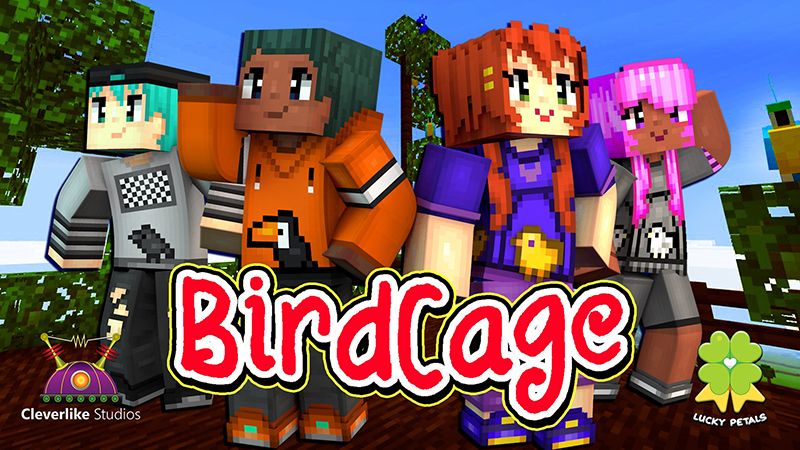 Birdcage Birdcage