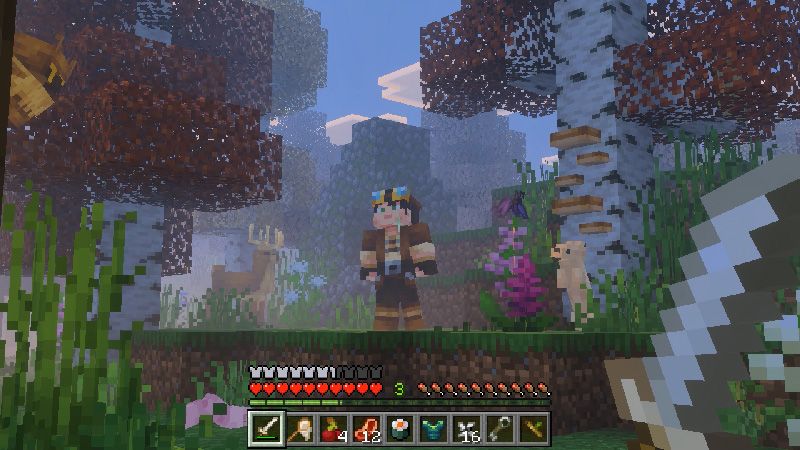 Vanilla Biomes+ Add-On by ThunderAy