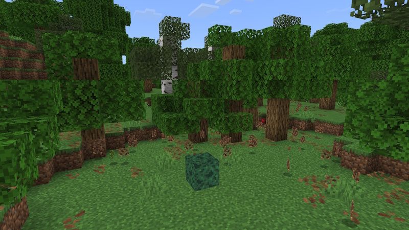 Sponges+ by WildPhire