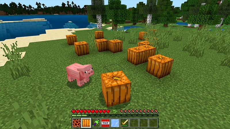 MORPH INTO BLOCKS! by Pickaxe Studios