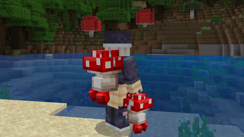 Backpacks 2.0.1 by Scai Quest