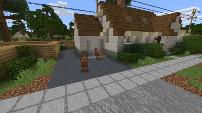 Dogs! by Fall Studios