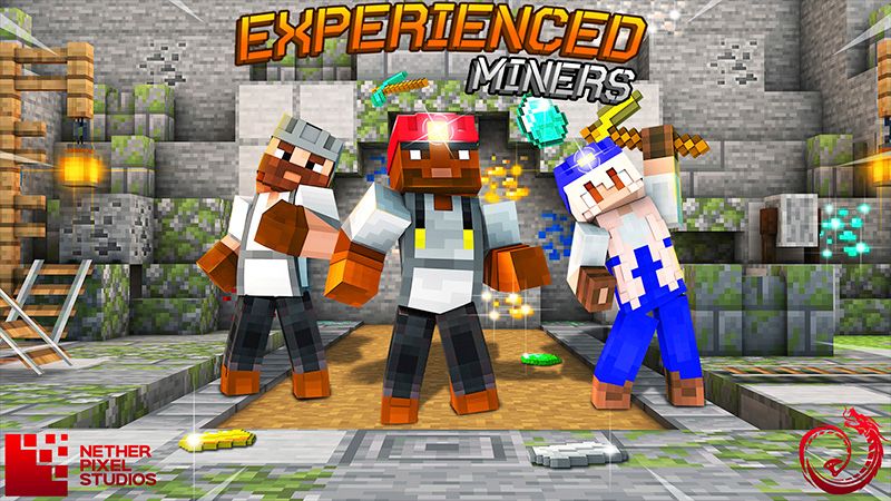 Experienced Miners