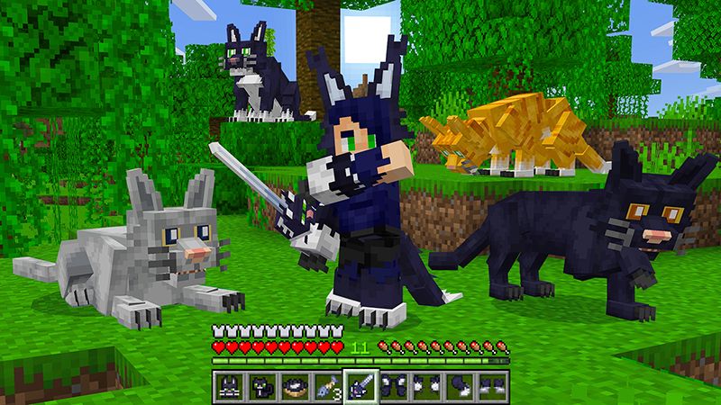 Fur Craft Add-On 2.0 by Float Studios