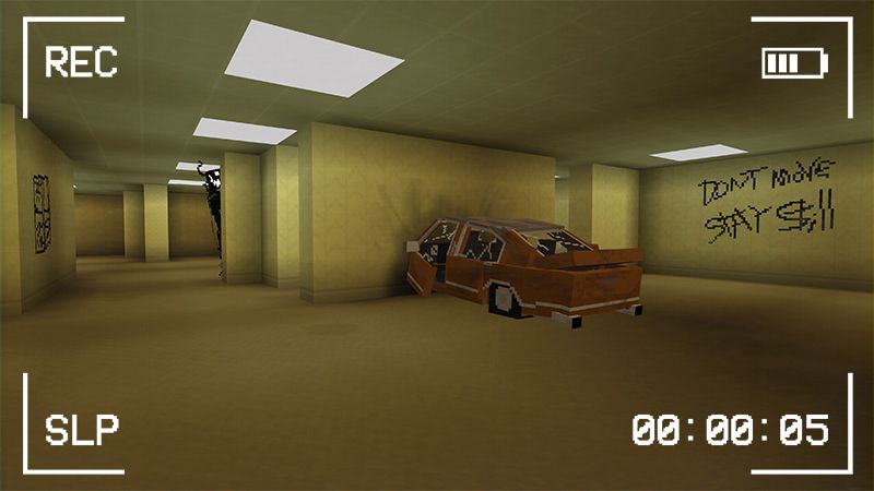 The Backrooms (Found Footage) by Panascais