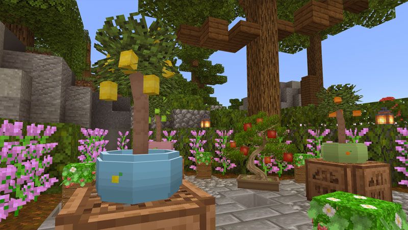 House Plants by CubeCraft Games