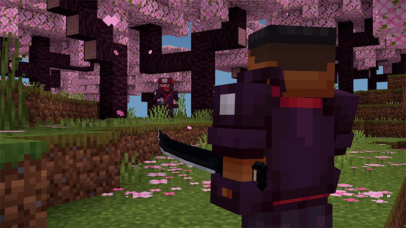 Ninja Weapons by Ninja Block