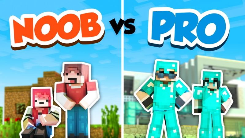 Noob vs Pro