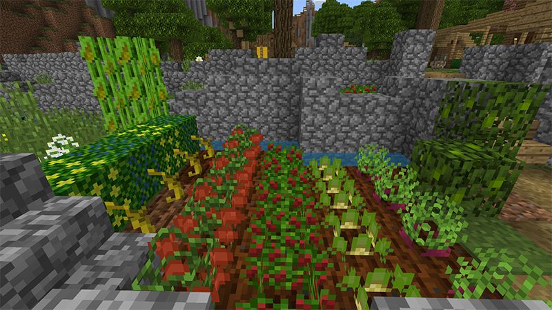 Pam's HarvestCraft: Summer by Pathway Studios