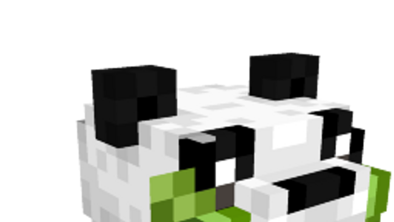 Panda Hat on the Minecraft Marketplace by Waypoint Studios